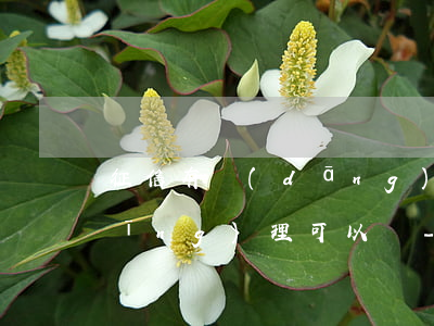 征信有當(dāng)前逾期找客服經(jīng)理可以嗎-征信有當(dāng)前逾期找客服經(jīng)理可以嗎知乎