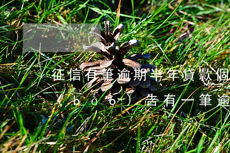 征信有筆逾期半年貸款(個(gè)人征信報(bào)告有一筆逾期)