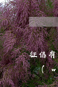 征信有網(wǎng)貸但從未逾期(征信有網(wǎng)貸但從未逾期)