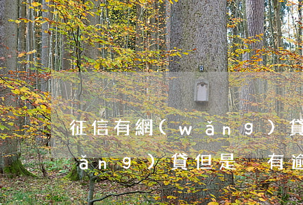 征信有網(wǎng)貸但是沒逾期(網(wǎng)貸但是沒有逾期還款會影響征信嗎)