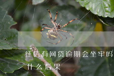 征信有网贷逾期会坐牢吗(网贷逾期上征信有什么后果)