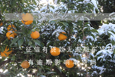 征信有贷款无逾期车贷(征信记录很多但是没有逾期影响车贷吗)