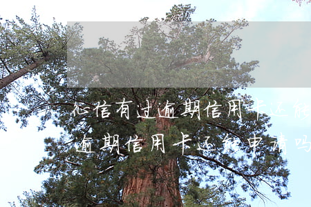 征信有过逾期信用卡还能申请吗-征信有过逾期信用卡还能申请吗知乎