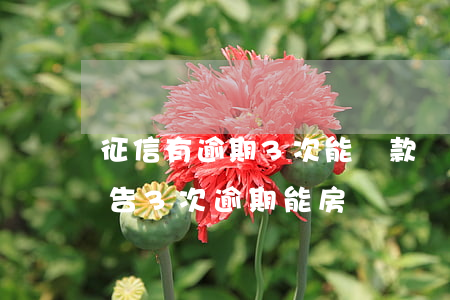 征信有逾期3次能貸款嗎(征信報(bào)告3次逾期能房貸嗎)