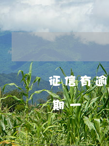 征信有逾期一條記錄怎么去消除-征信有逾期一條記錄怎么去消除呢