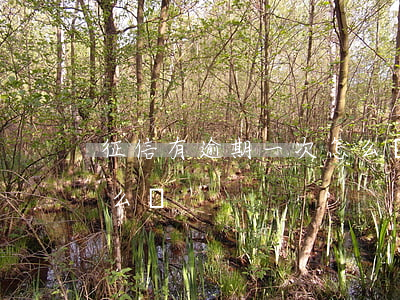 征信有逾期一次怎么辦-征信逾期了一次怎么辦