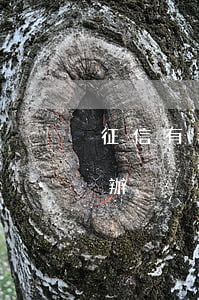 征信有逾期七次怎么辦(征信有逾期七次怎么辦)