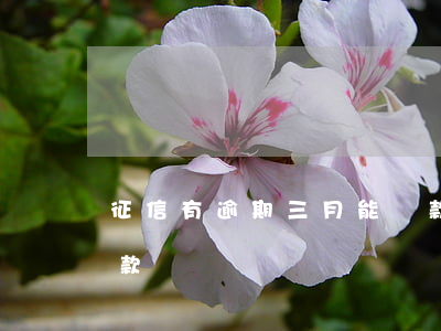 征信有逾期三月能貸款(征信有逾期三月能貸款)