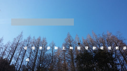 征信有逾期上那能贷款(征信有逾期还能贷款吗)