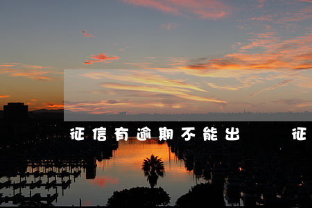 征信有逾期不能出國嗎(征信有逾期影響出國嗎)