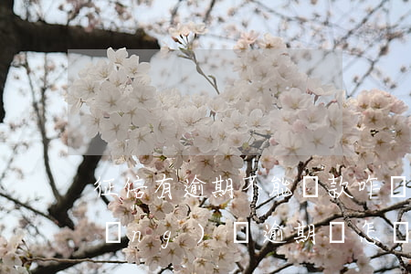 征信有逾期不能貸款咋辦(不上征信的網(wǎng)貸逾期會怎樣)