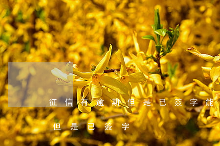 征信有逾期但是已簽字能貸款嗎（征信有逾期但是已簽字）