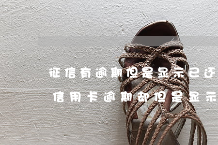 征信有逾期但是显示已还清可以办信用卡吗（信用卡逾期却但是显示已还清）