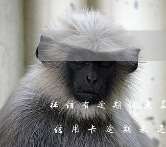 征信有逾期但是显示已还清可以办信用卡吗（信用卡逾期未还直接上征信吗）