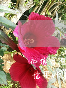 征信有逾期但是顯示已還清可以辦信用卡嗎（信用卡刷完了沒逾期上征信嗎）