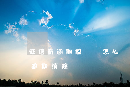 征信有逾期但沒還怎么辦 逾期一直沒還 征信逾期消除