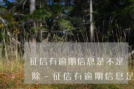 征信有逾期信息是不是沒(méi)辦法消除-征信有逾期信息是不是沒(méi)辦法消除了