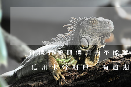 征信有逾期信用卡不能辦理分期 征信報告有信用卡分期但沒有逾期可以貸款買房嗎