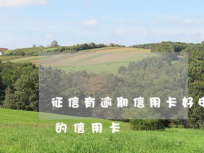 征信有逾期信用卡好申请吗(征信逾期最好办的信用卡)