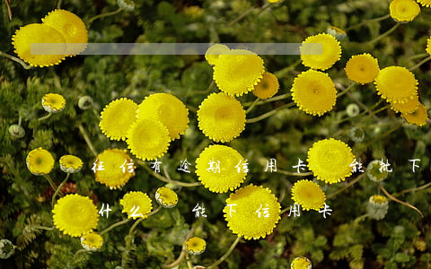 征信有逾期信用卡還能批下(征信有逾期了為什么還能下信用卡)