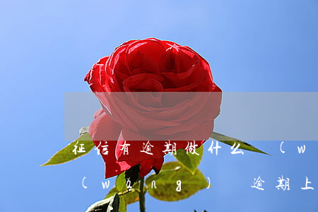 征信有逾期做什么網(wǎng)貸(哪些網(wǎng)貸逾期上征信)