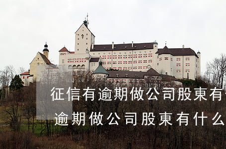征信有逾期做公司股東有什么影響-征信有逾期做公司股東有什么影響嗎