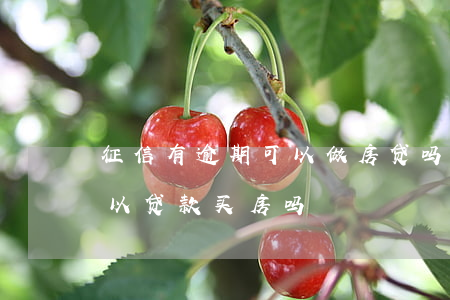 征信有逾期可以做房贷吗(征信逾期还清了可以贷款买房吗)