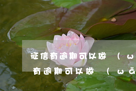 征信有逾期可以做網(wǎng)貸嗎(征信有逾期可以做網(wǎng)貸嗎)