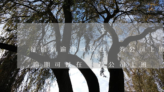 征信有逾期可以在證券公司上班嗎-征信有逾期可以在證券公司上班嗎知乎