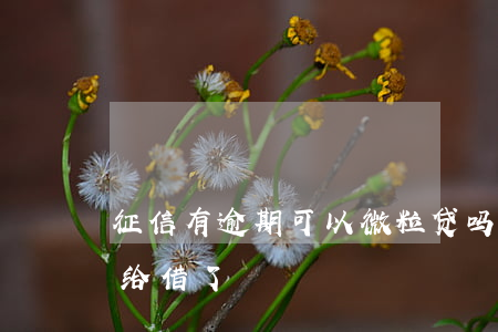 征信有逾期可以微粒贷吗(征信逾期微粒贷不给借了)