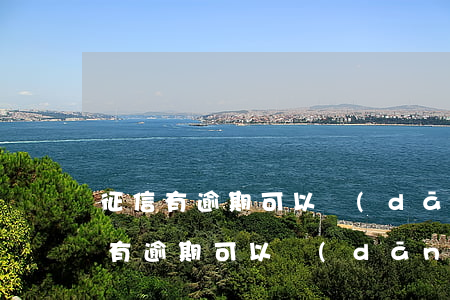 征信有逾期可以擔(dān)保房貸嗎(征信有逾期可以擔(dān)保貸款嗎)