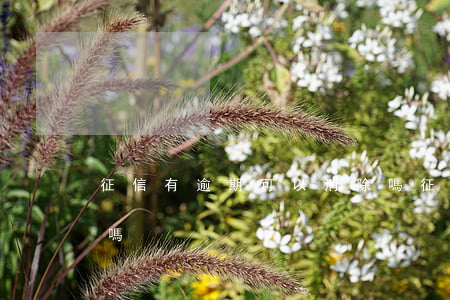 征信有逾期可以消除嗎?（征信有逾期可以消除嗎）