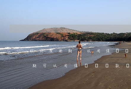 征信有逾期可以用保險單貸款嗎-征信有逾期可以用保險單貸款嗎知乎