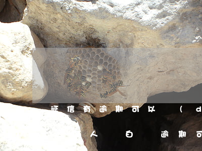 征信有逾期可以當(dāng)擔(dān)保人嗎（白條逾期可以當(dāng)擔(dān)保人嗎）