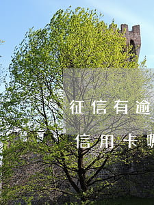 征信有逾期可以辦信用卡嘛(征信逾期過能辦信用卡嗎)