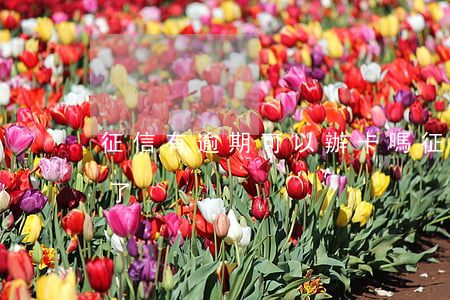 征信有逾期可以辦卡嗎（征信逾期辦信用卡批了）