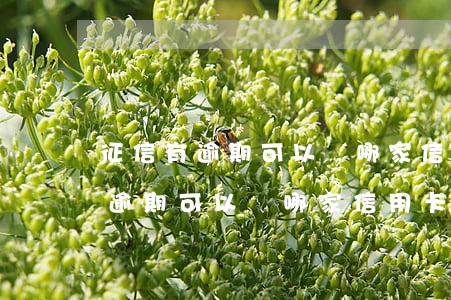 征信有逾期可以辦哪家信用卡銀行-征信有逾期可以辦哪家信用卡銀行貸款