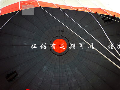 征信有逾期可以辦理出國簽證嗎-