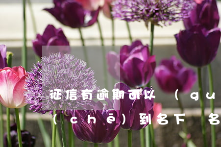 征信有逾期可以過(guò)戶(hù)車(chē)到名下嗎（名下有車(chē)信用卡逾期可以過(guò)戶(hù)嗎）