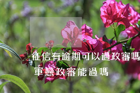 征信有逾期可以過政審嗎（我信用卡逾期很久軍戀政審能過嗎）