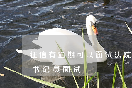 征信有逾期可以面试法院书记员吗(法院聘用书记员面试)
