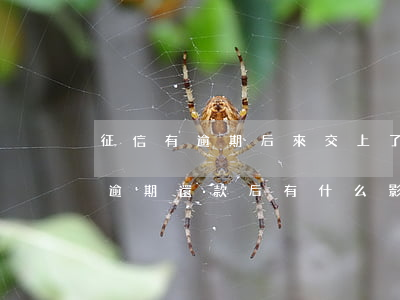 征信有逾期后來交上了會顯示什么-征信有逾期還款后有什么影響