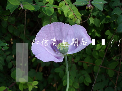 征信有逾期后廣發(fā)信用卡還能用嗎