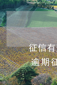 征信有逾期哪里可以借錢(qián)（信用逾期征信怎么借錢(qián)）