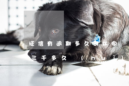 征信有逾期多久可以申請信用卡（信用卡逾期三千多久會(huì)不會(huì)上征信）
