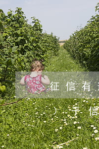 征信有逾期多久可以辦信用卡（關(guān)于信用卡逾期多久上征信）
