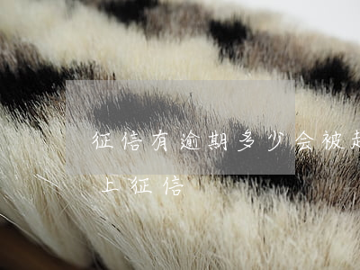征信有逾期多少会被起诉(产生逾期多久会被上征信)