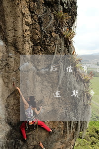 征信有逾期多少會被起訴(產(chǎn)生逾期多久會被上征信)