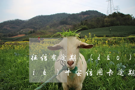 征信有逾期導(dǎo)致信用卡凍結(jié)（平安信用卡逾期發(fā)短信資產(chǎn)凍結(jié)）