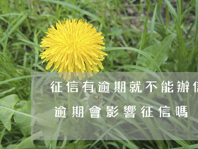 征信有逾期就不能辦信用卡了嗎（有信用卡不逾期會影響征信嗎）